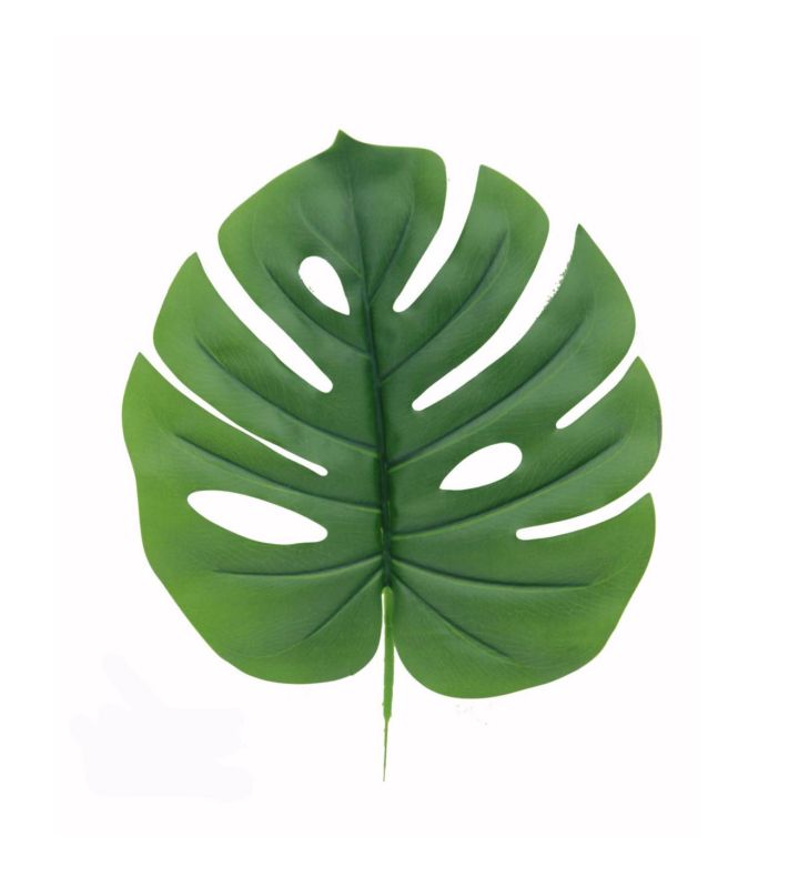 16" Single Tarovine Leaf Green