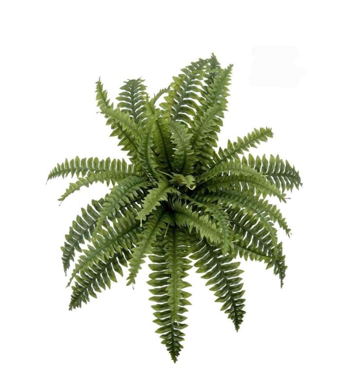 18" Boston Fern 18 Leaves