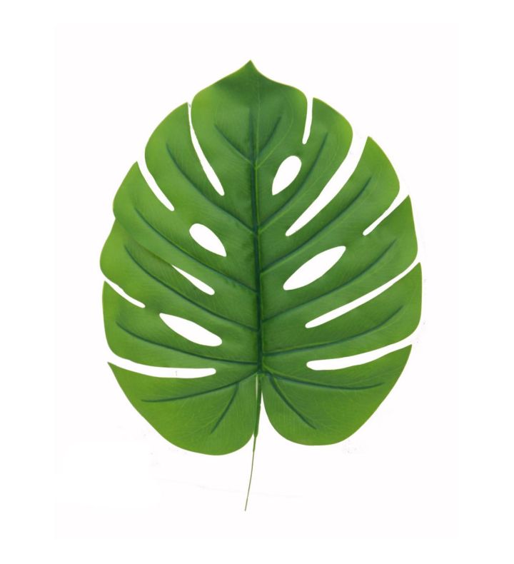 19" Single Tarovine Leaf Green