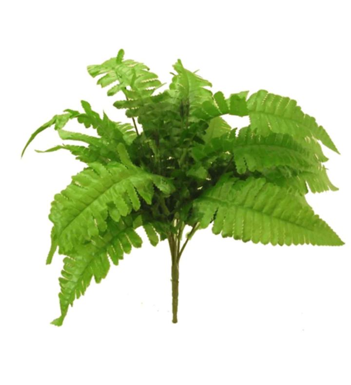 30cm Leafy Boston Fern Bush Green