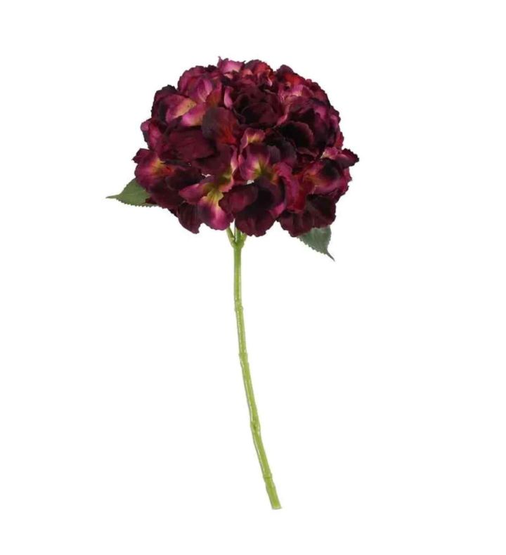 Short Stem Hydrangea Dark Purple