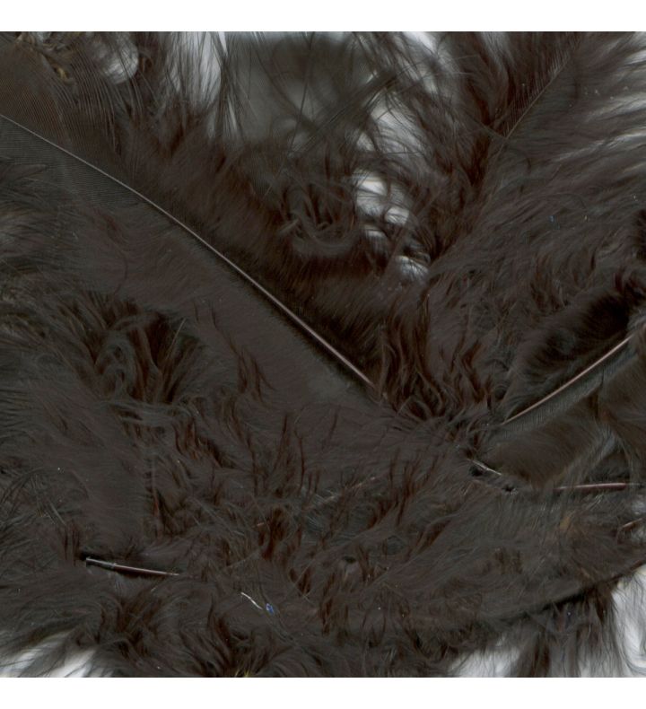 Craft Feathers Black 8g