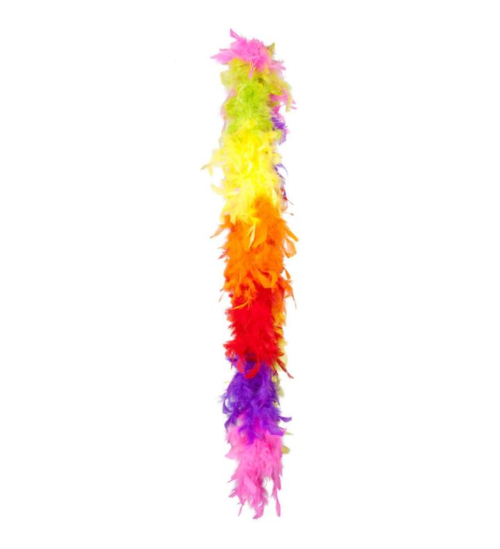Feather Boa 50g Chain Rainbow