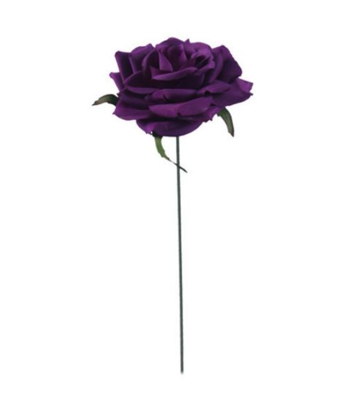 Curve Rose Cas Purple