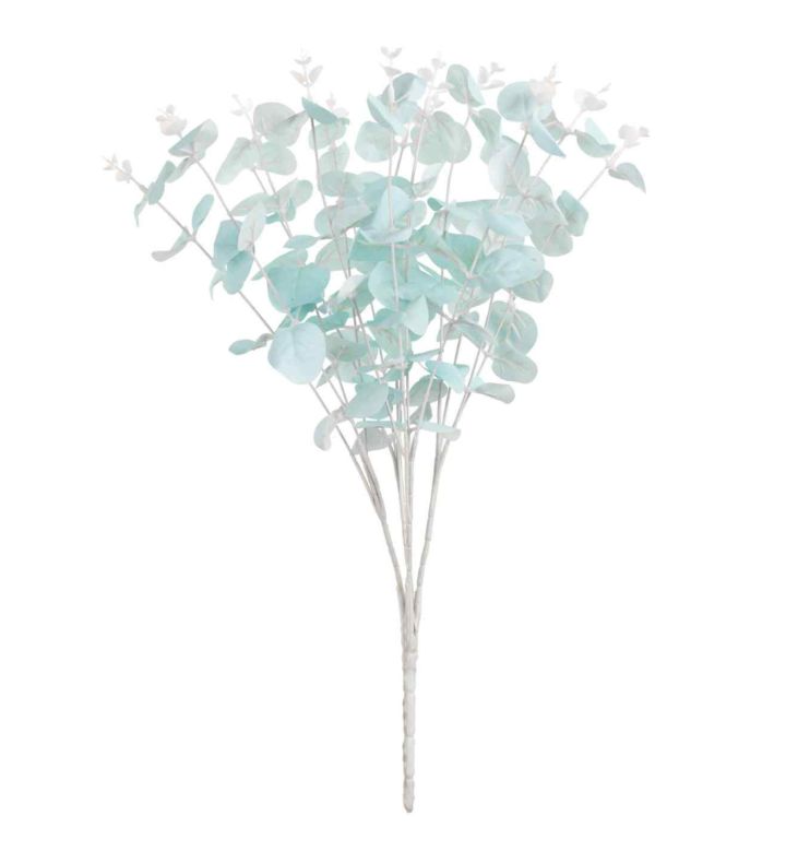 Eucalyptus Bush Blue  x16