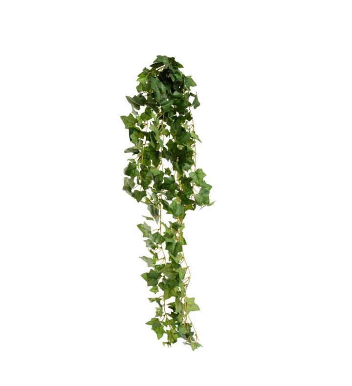 Hanging Ivy Bush Green