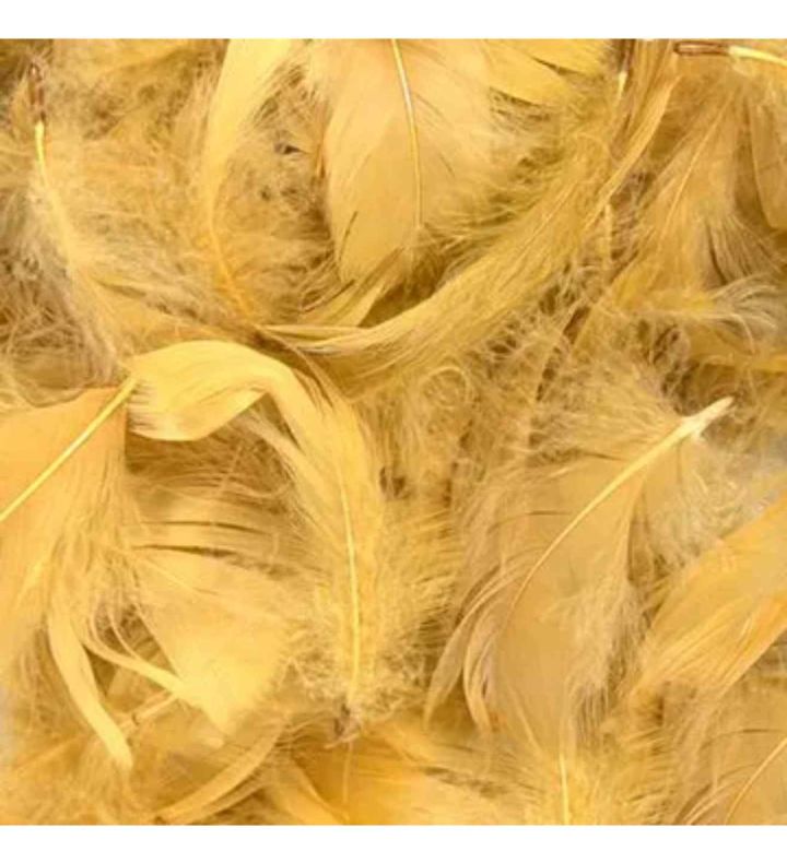 Eleganza Feathers Mixed Sizes Gold - 50g