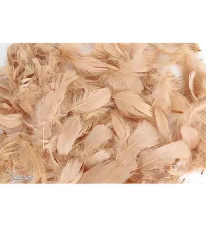 Eleganza Feathers Mixed Sizes Natural - 50g