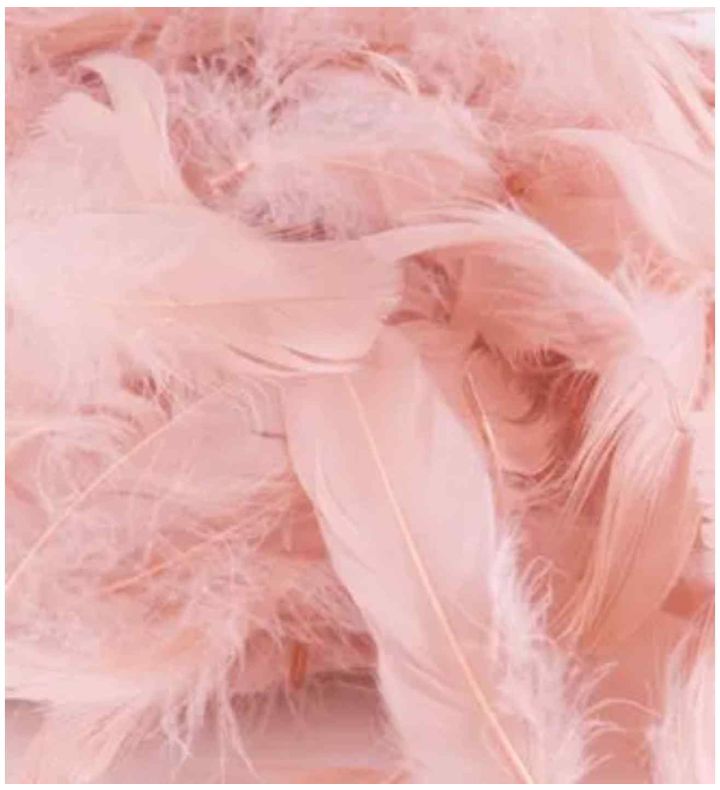 Eleganza Feathers Mixed Sizes Rose Gold - 50g