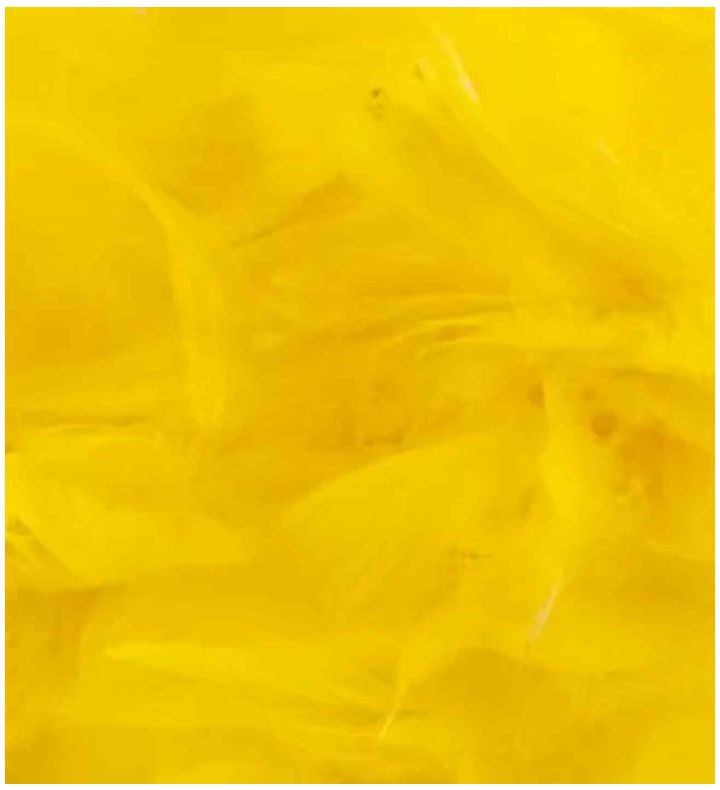 Eleganza Feathers Mixed Sizes Yellow - 50g