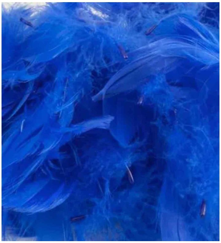 Eleganza Feathers Mixed Sizes Royal Blue - 50g