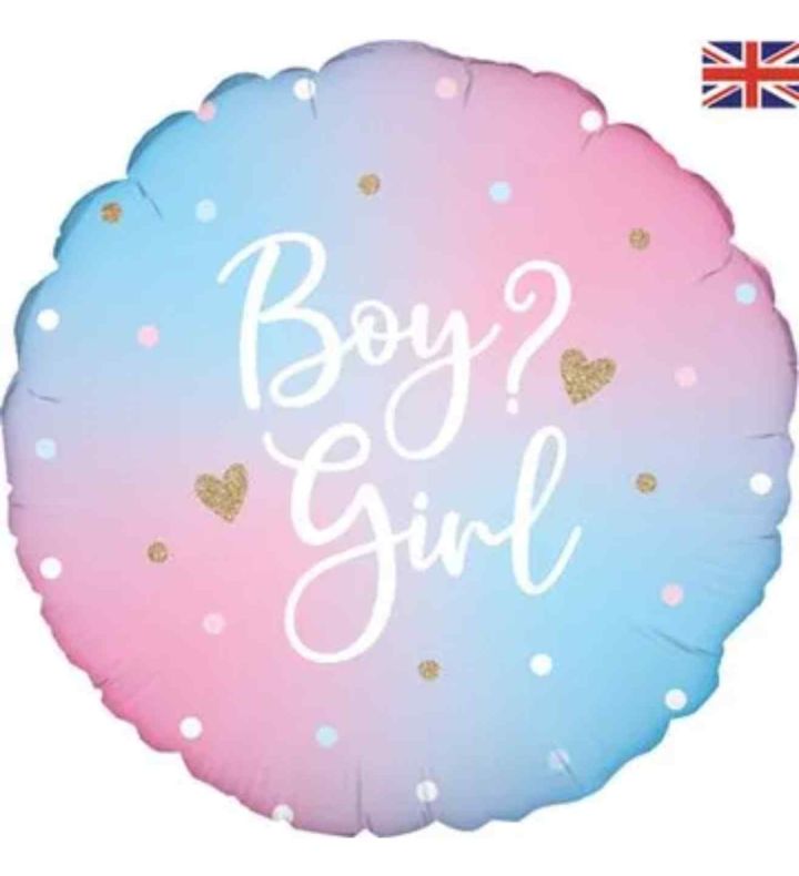 18" Boy? Girl Bright Pastel Gender Reveal Round