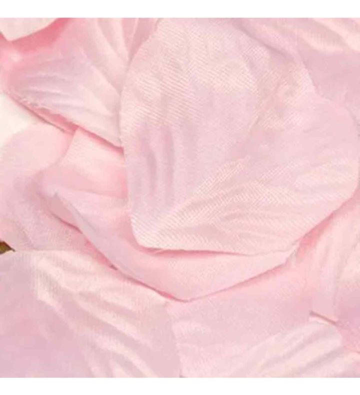 Eleganza Rose Petals Light Pink - 1000pcs