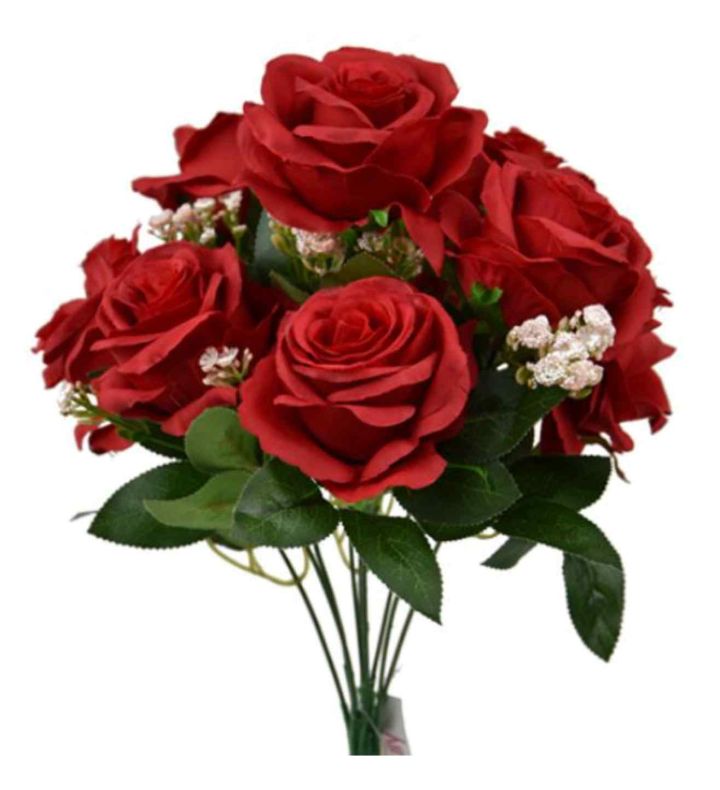 Open Rose Bush with Gyp Red