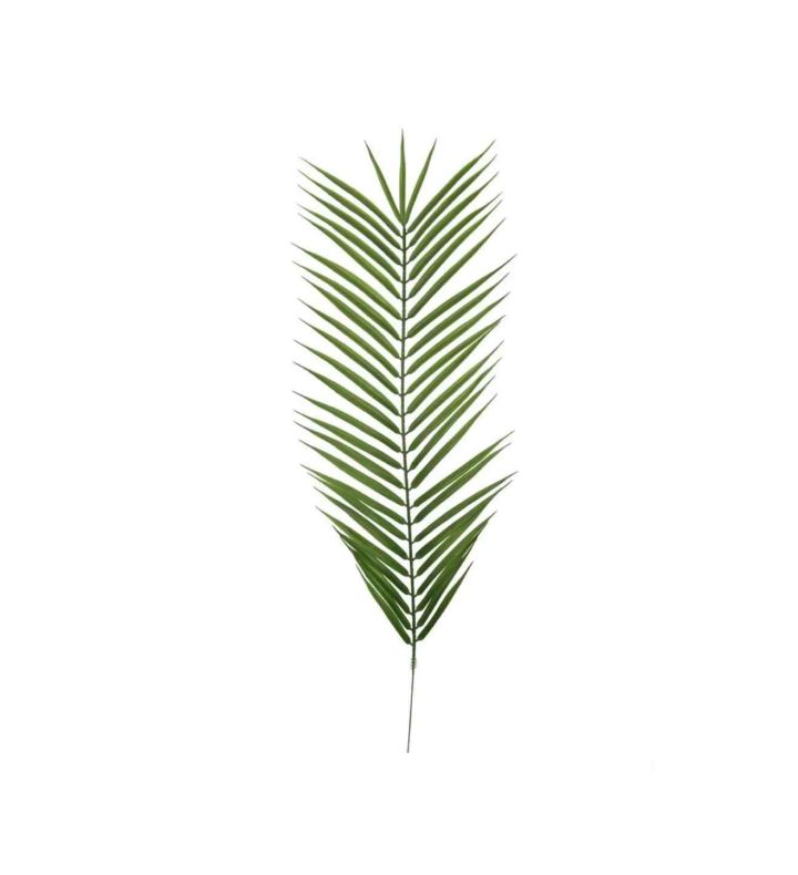 Palm Leaf 108cm