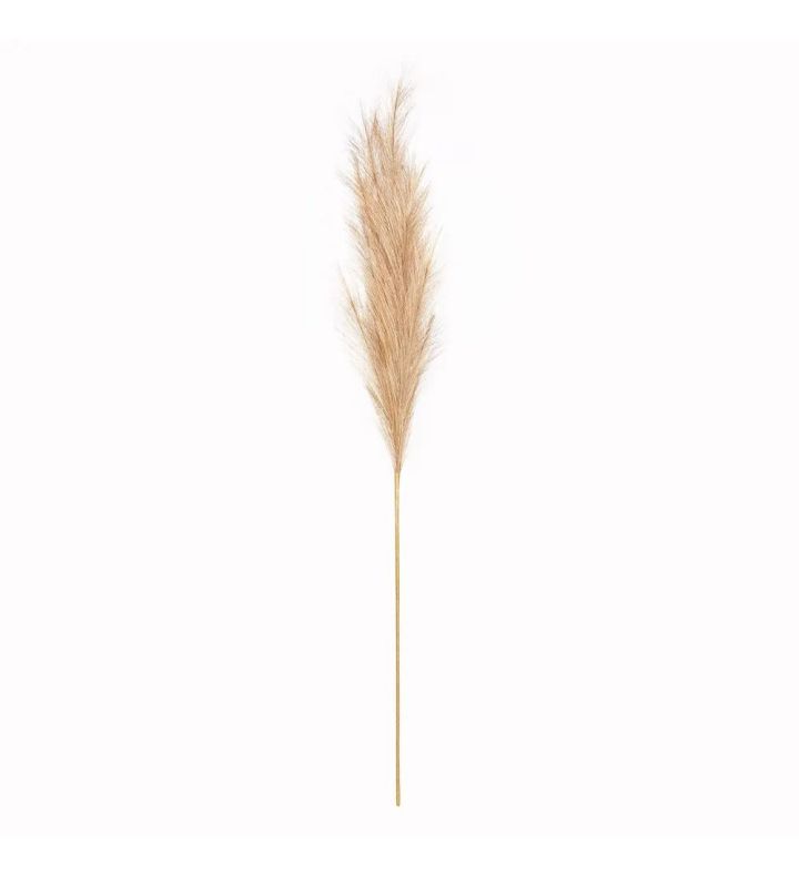 Pampas Natural 15 Heads