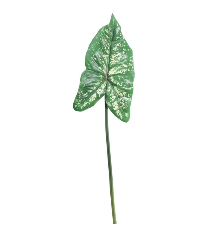 Single Large Syngonium Leaf (74cm)