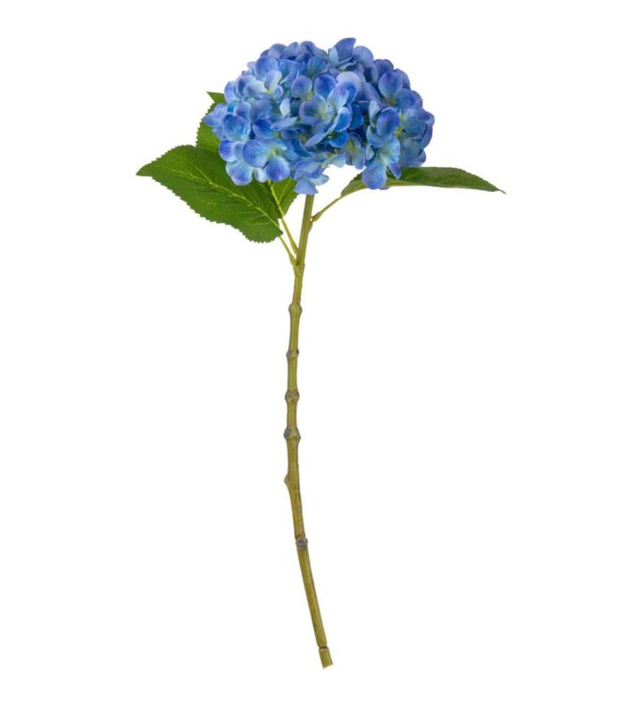 Small Head Hydrangea Blue