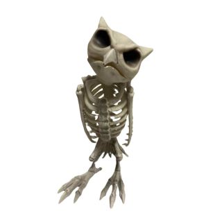 30cm-plastic-owl-skeleton