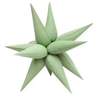 63.5cm-pastel-mint-green-starburst-bamboo-party-foil-balloon