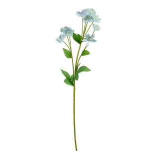 astrantia-spray-blue-61cm