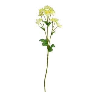 astrantia-spray-green-61cm