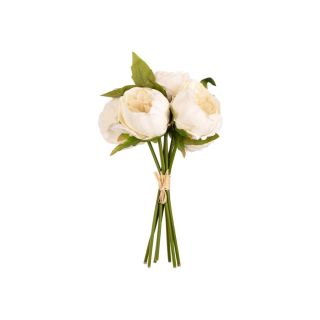 aurora-peony-ivory-bunch-x5-heads