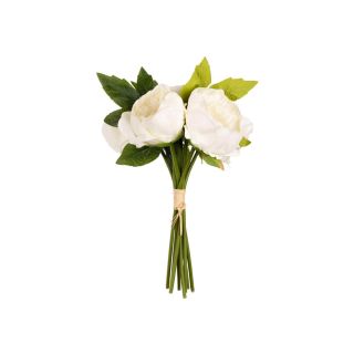 aurora-peony-white-bunch-x5-heads