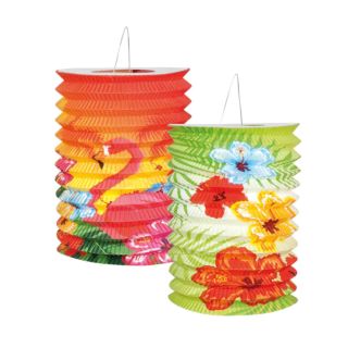 boland-2-aper-lanterns-hibiscus.jpg