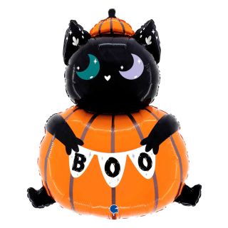 cat-in-the-pumpkin-balloon.jpg