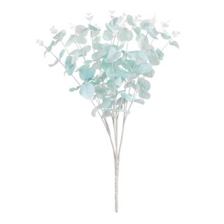 eucalyptus-bush-blue-x16