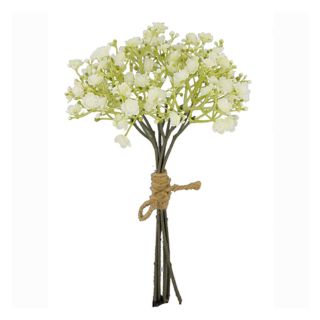 floristsupplies-29com-gyp-bunch-dry-cream--1---1-.jpg