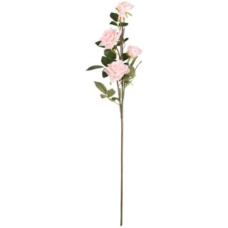 Large Diana Rose Soft Pink x 5