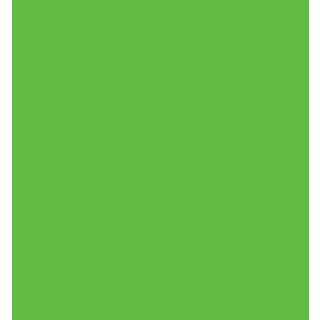 light-green-vinyl