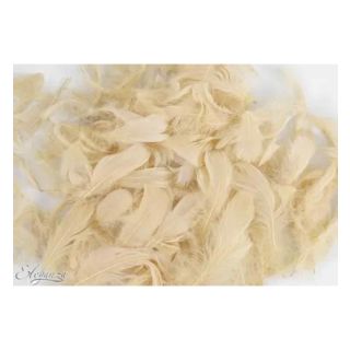 oaktree-3-5inch-50g-bag-pampas.jpg