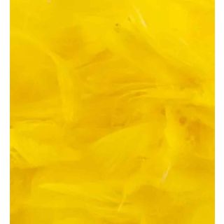 oaktree-3inch-5inch-50g-bag-yellow.jpg