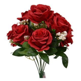 open-rose-bush-with-gyp-red.jpg