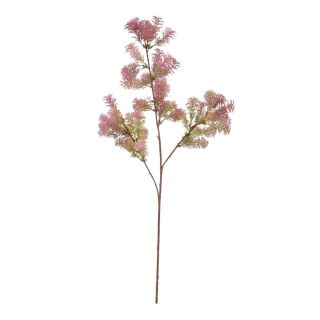 pink-foliage-spray-stem-72cm
