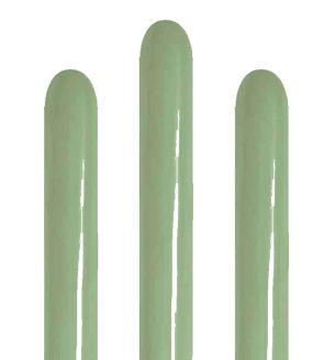 260S Sempertex Eucalyptus 027 Modelling Latex Balloons 50ct