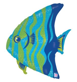 grabo-angel-fish-b.jpg